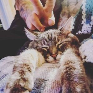 Meet your Posher, Amber-lynn